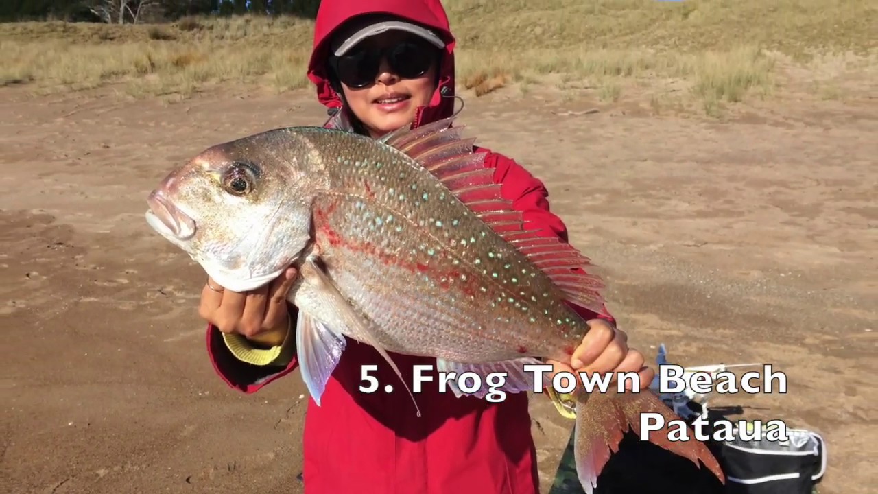 The best fishing spots at Whangarei Heads, New Zealand