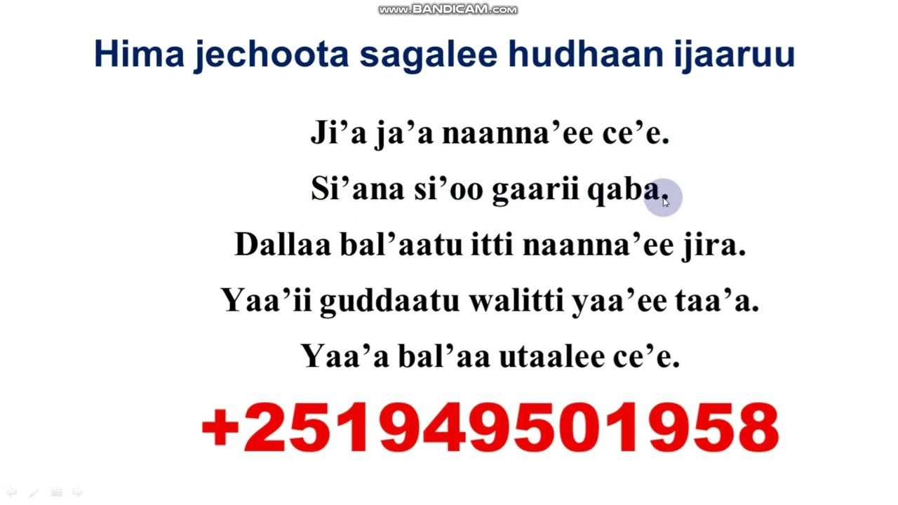 Hima Ijaaruu