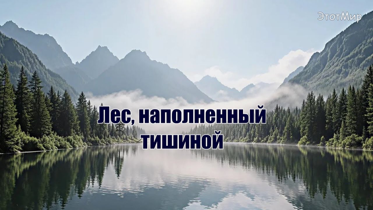 Лесное Утро: Звуки и Виды для Внутреннего Покоя