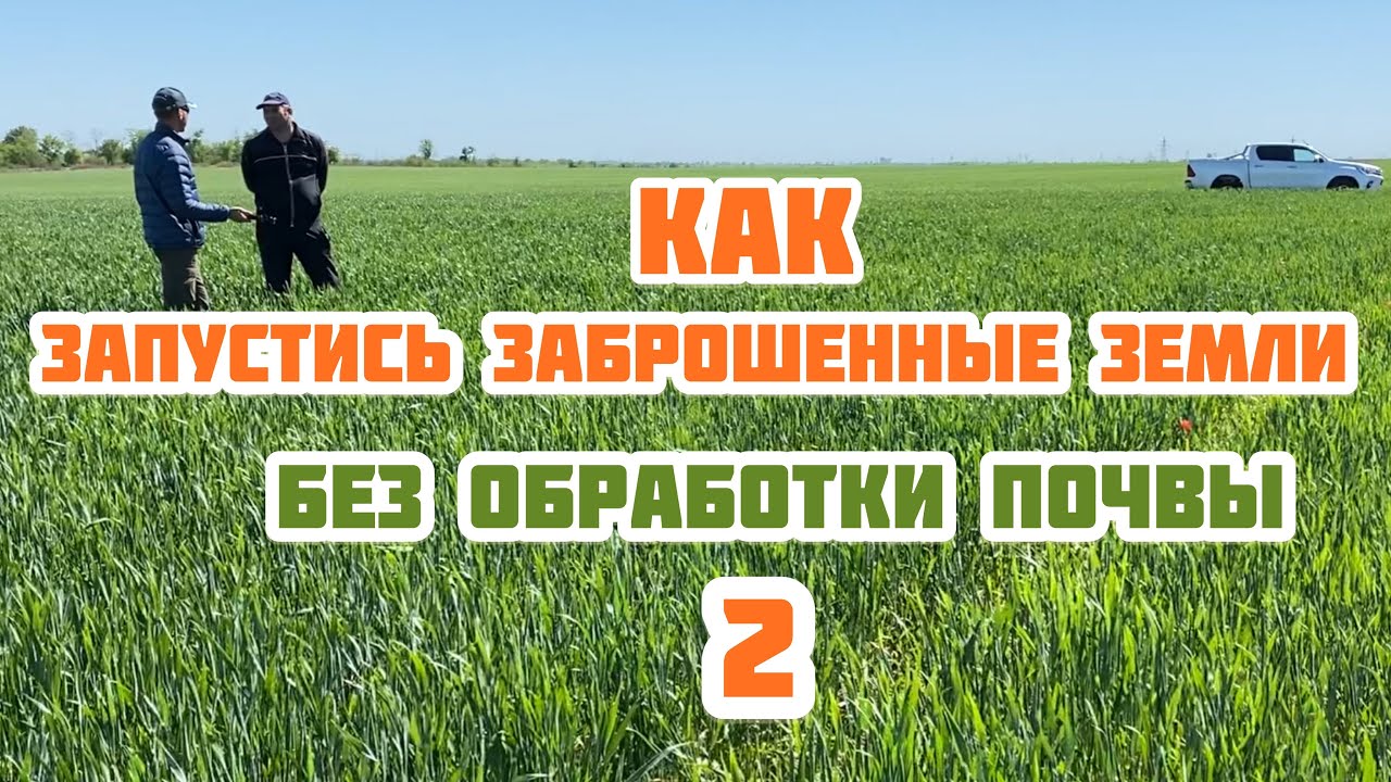 Как запустить заброшенные земли без обработки почвы | Ещё один вариант