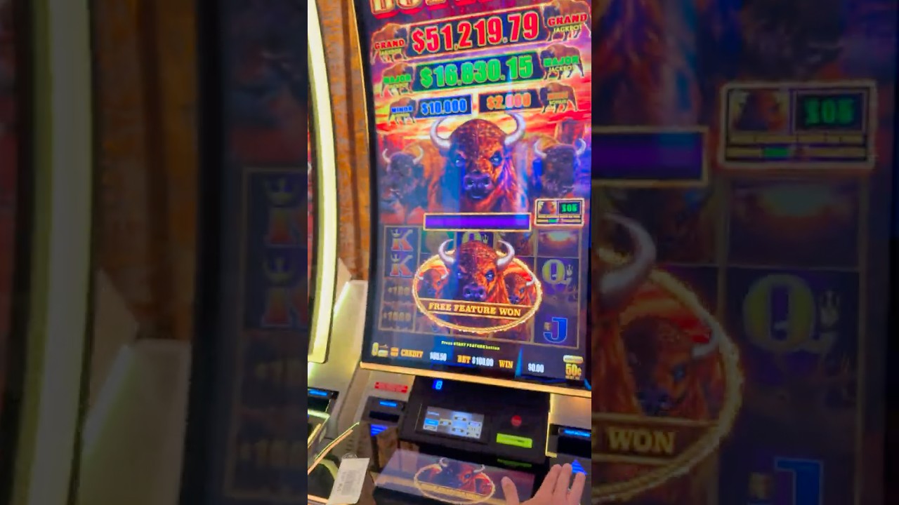 AMAZING $100 Bet Bonus On Buffalo! #slots #casino #gambling