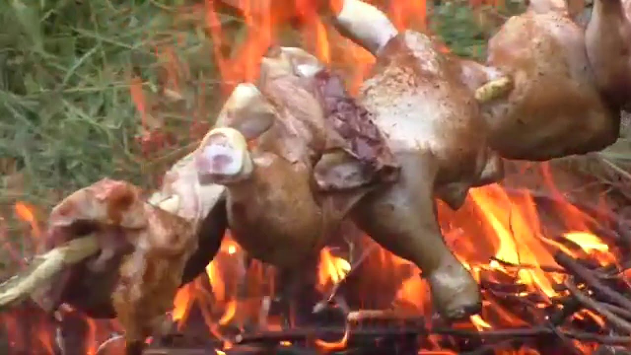 videorelacja z Pionek [TDP_2015]