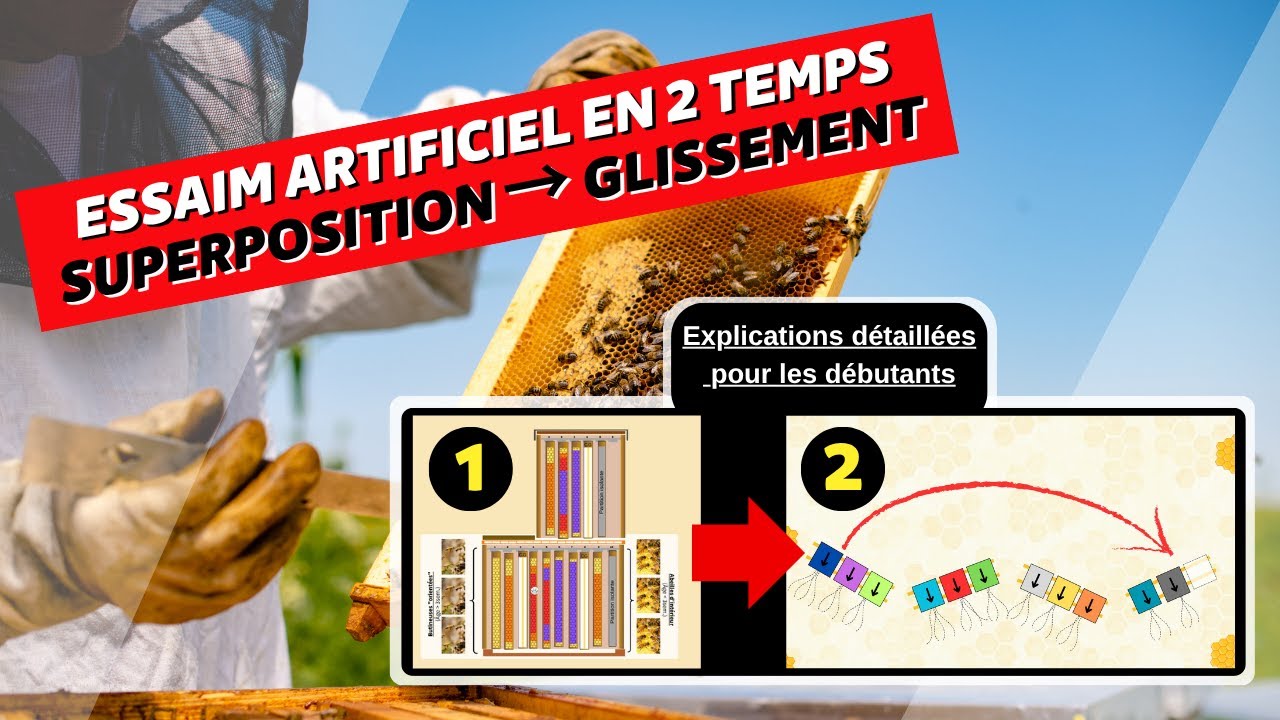Créer un essaim artificiel en 2 temps : superposition → glissement