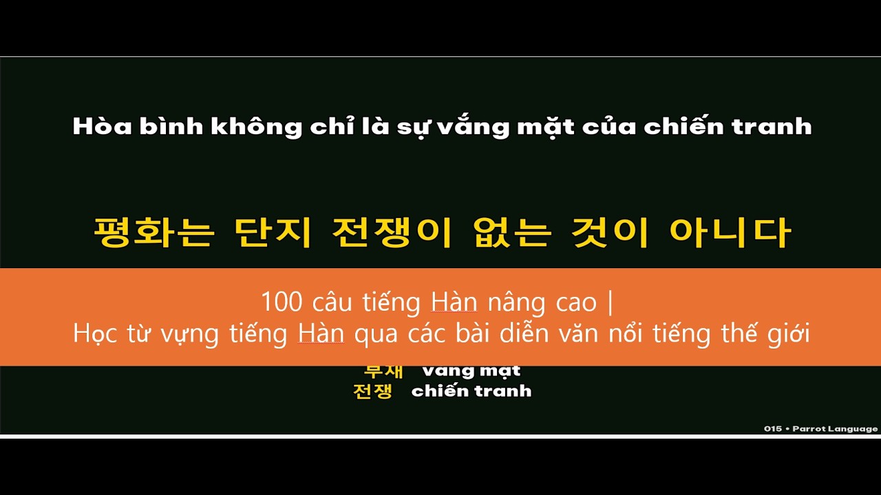 100 câu tiếng Hàn nâng cao｜Học từ vựng tiếng Hàn qua các bài diễn văn nổi tiếng thế giới