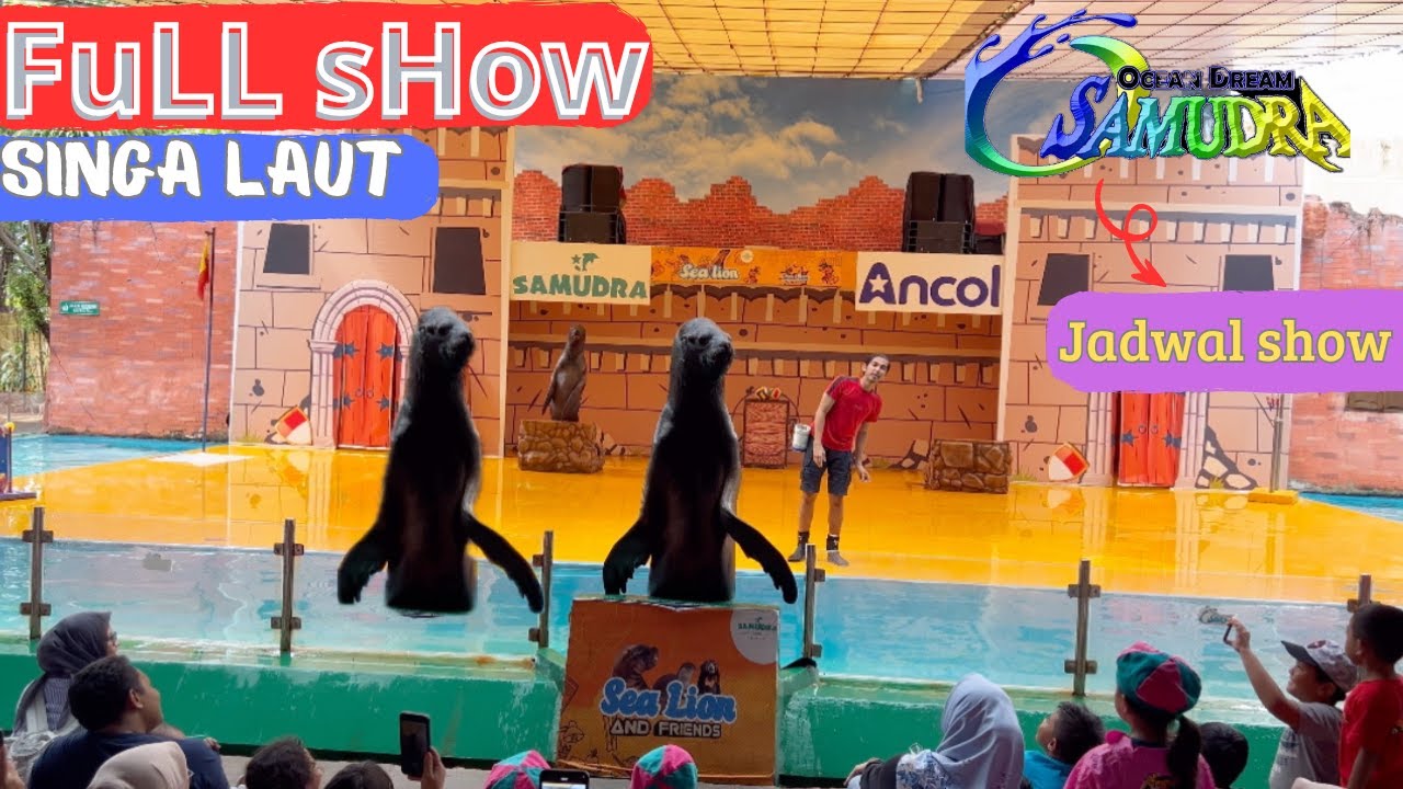 PERTUNJUKAN SINGA LAUT ‼️DI OCEAN DREAM SAMUDRA ANCOL AT JAKARTA || FuLL Show