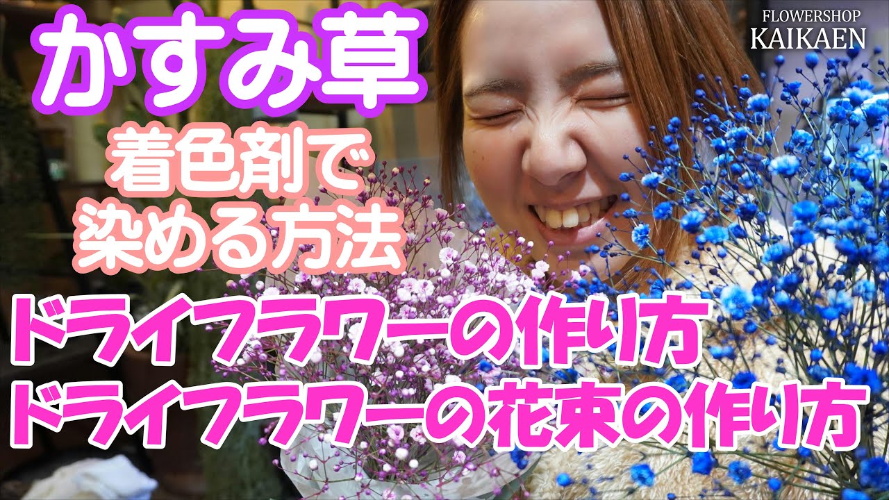 かすみ草　染めるやり方　ドライフラワーの作り方　花束の作り方　【おうちでフラワー】【おうちでガーデニング】開花園チャンネル