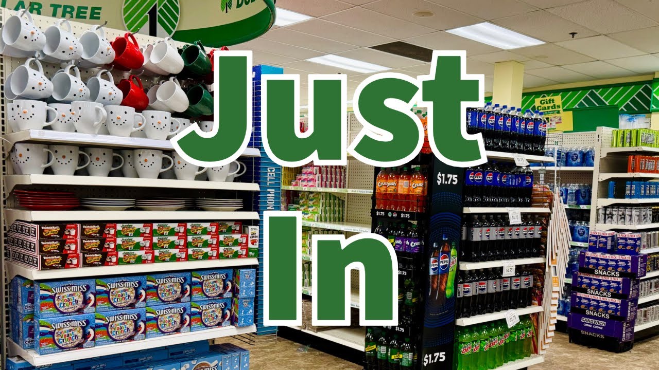 Dollar Tree 2024 | NEW Finds This Week😮😮😮