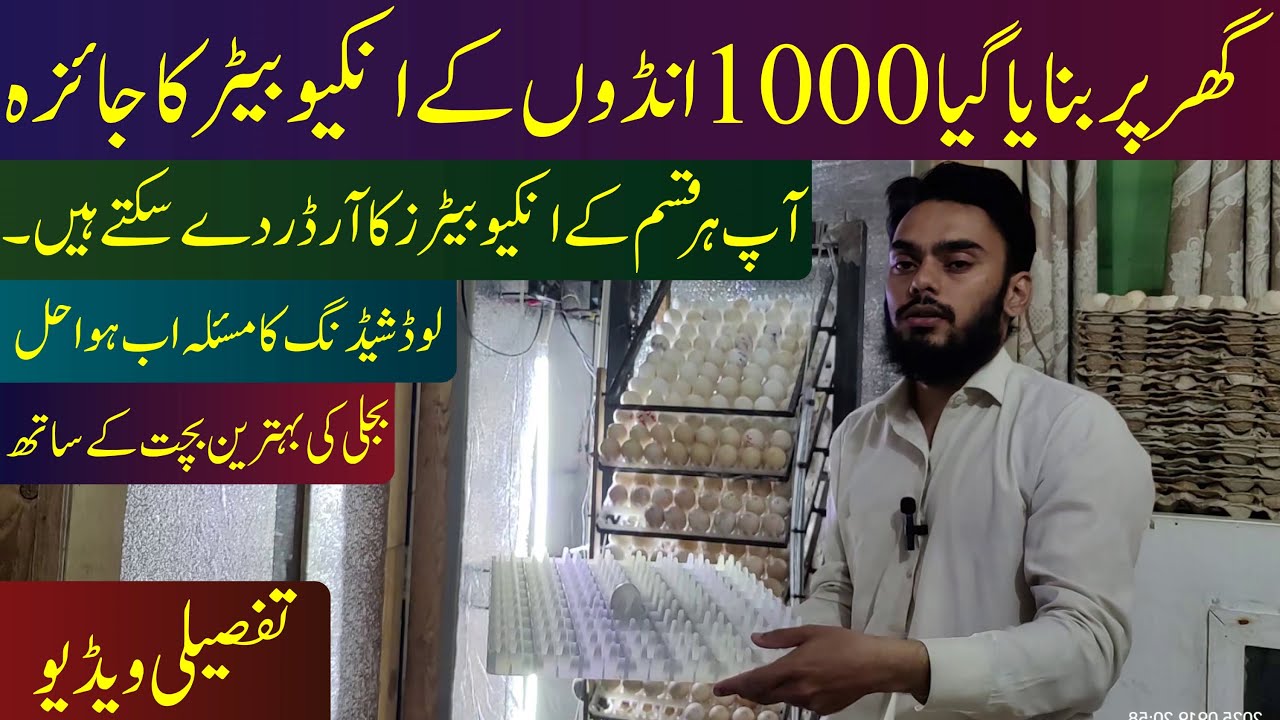 Review of my New 1000 Eggs Automatic Incubator with Best Power Saving Features | Ubaid Farming |