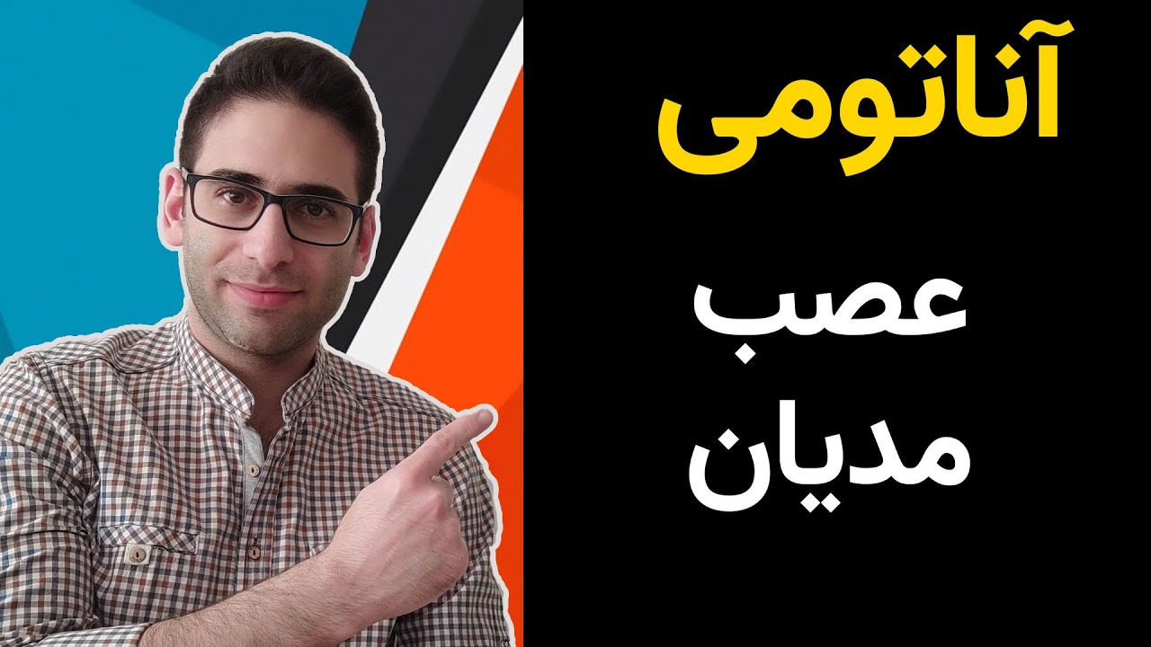 آناتومی عصب مدیان
