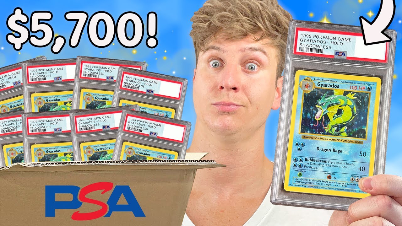 I Graded The World's Largest Shadowless Gyarados Collection!