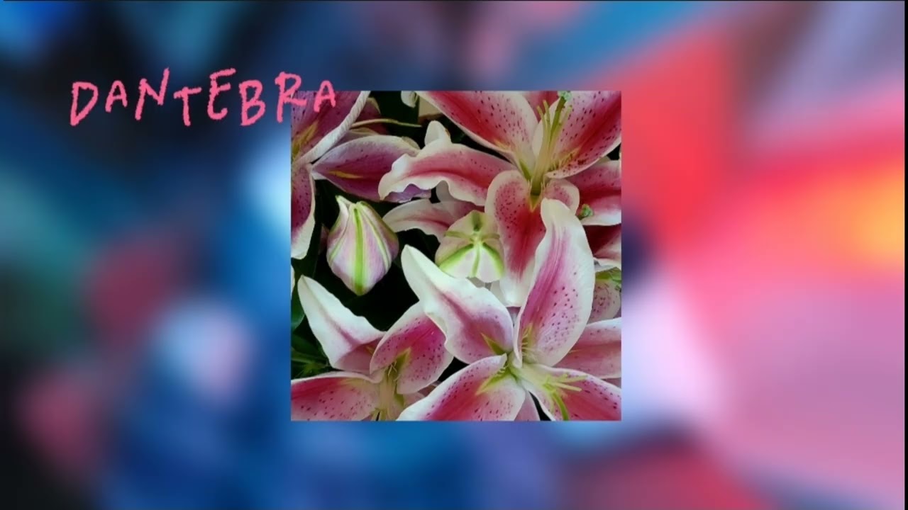 Dantebra -Sōlate (official audio)