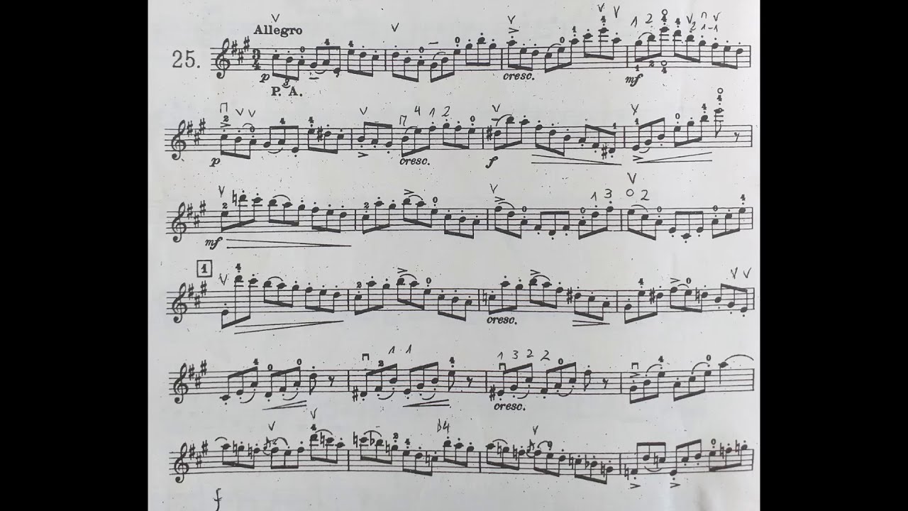 Heinrich Ernest Kayser. Violin Etudes Op. 20, Nº 25 - FABRICIO VALVASORI