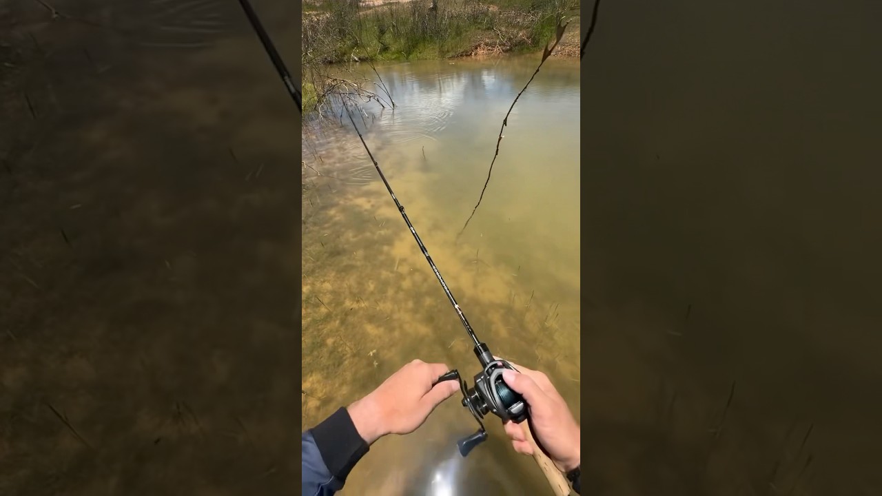 PESCANDO TUCUNARÉ DE BARRANCO NO VISUAL - PESCARIA EM TRÊS MARIAS - Siga para mais videos de pesca