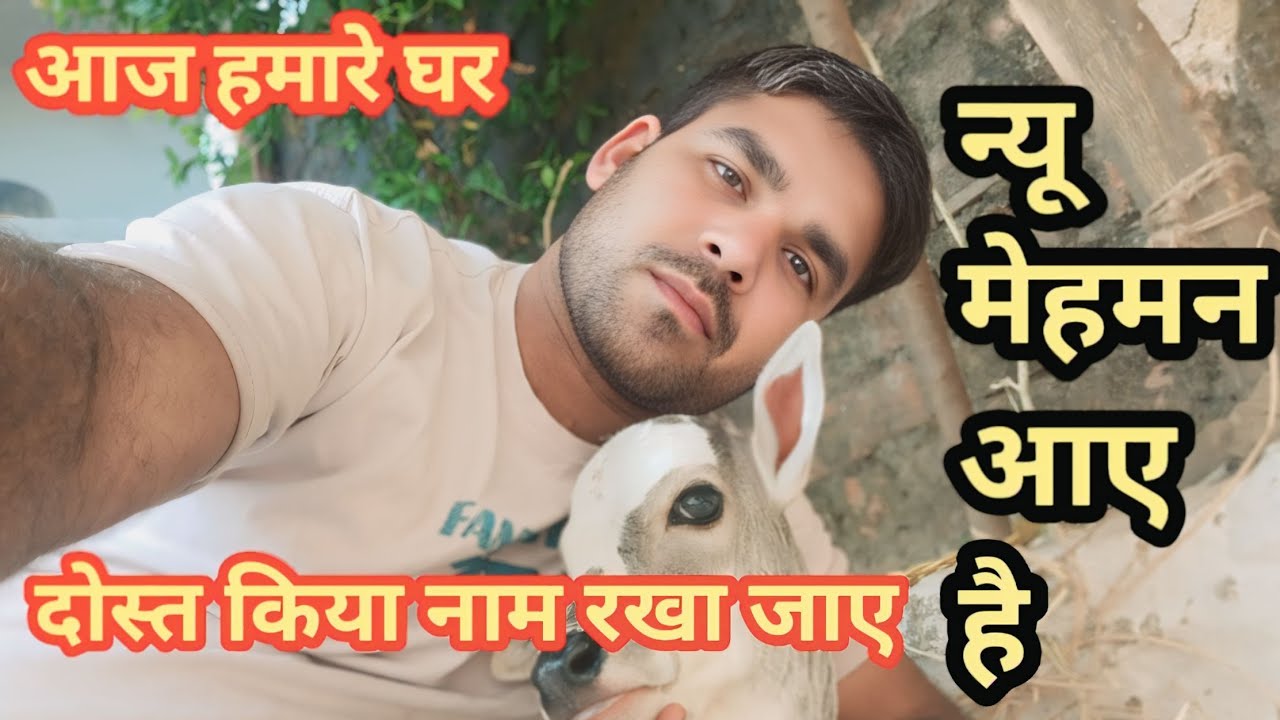 आज हमारे घर न्यू मेहमन आए है किया नाम रखा जाए  दोस्त बताना🐄🐄🐄#animals #shorts #ytshorts 