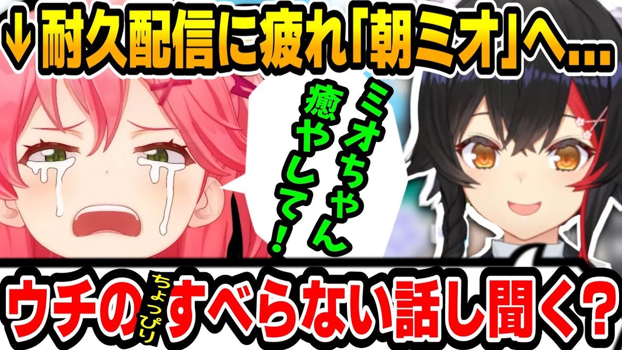 徹夜明けのみこちに正論を突きつける大神ミオ【 #ホロライブ #hololive #切り抜き #大神ミオ #さくらみこ #利用規約に同意したい 】