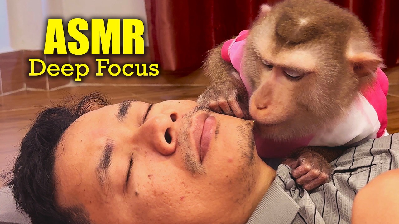 Unintentional Monkey ASMR | Super Tingly Scalp Grooming (Deep Focus for Sleep)