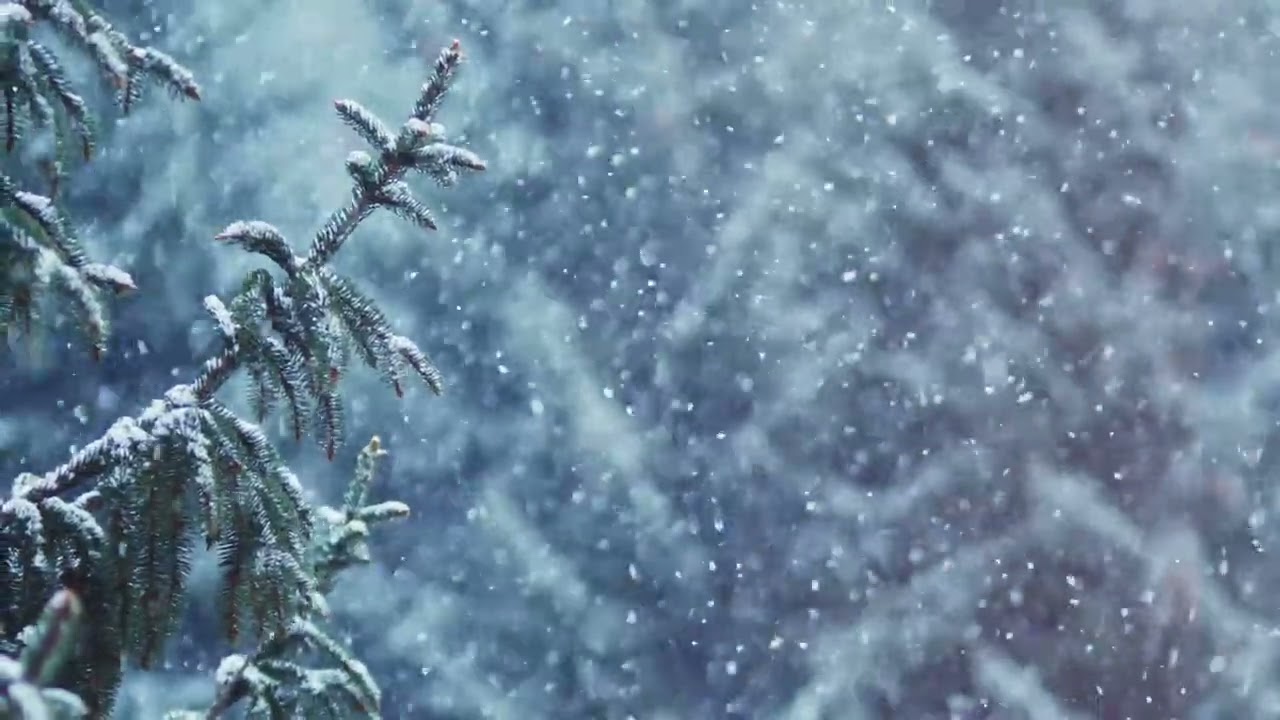 It Is Good To Give Thanks | Contemporary Christian Prayer Music