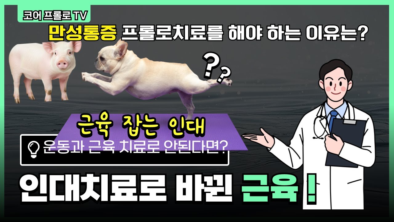 만성통증 프롤로치료원리는 근육잡는인대: 인대 근육 반사반응
