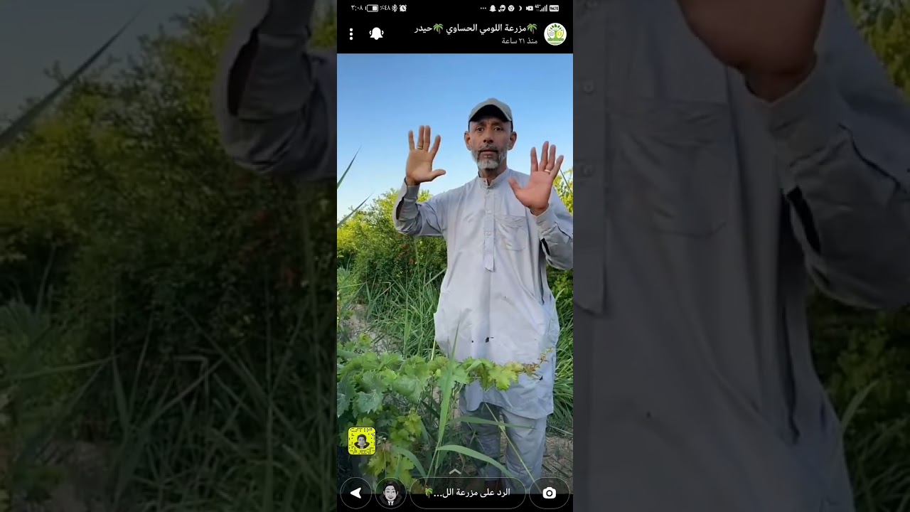 شرح لتقليم شجر العنب