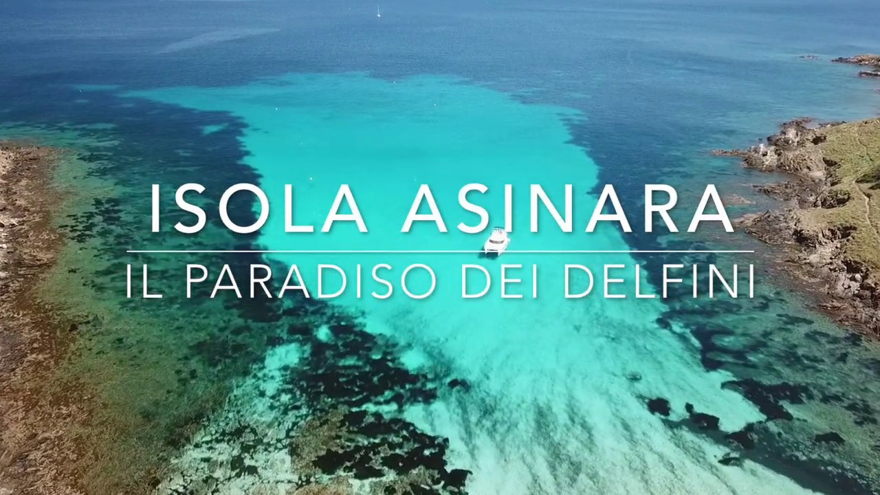 Isola Asinara il paradiso dei delfini
