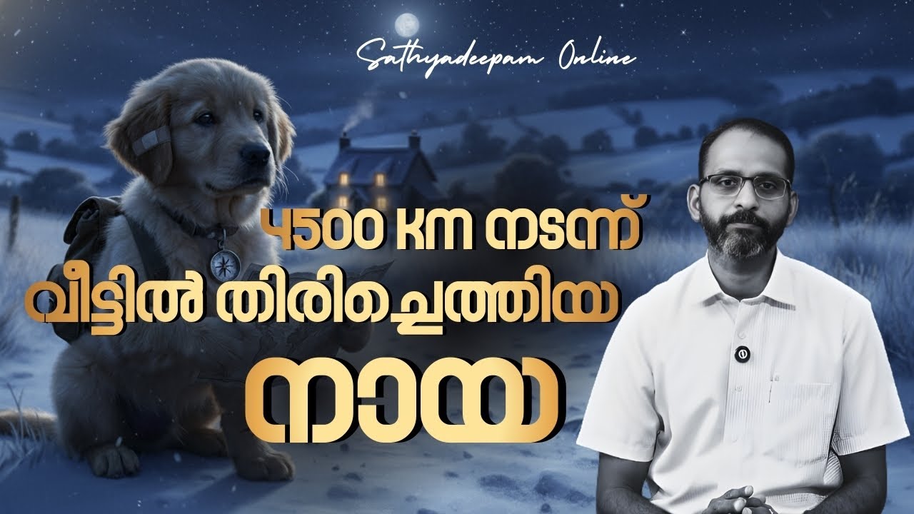 Bobbie the Wonder Dog l Ormmakalil Oridam: 06 l Sathyadeepam Online l Vijay's Whims