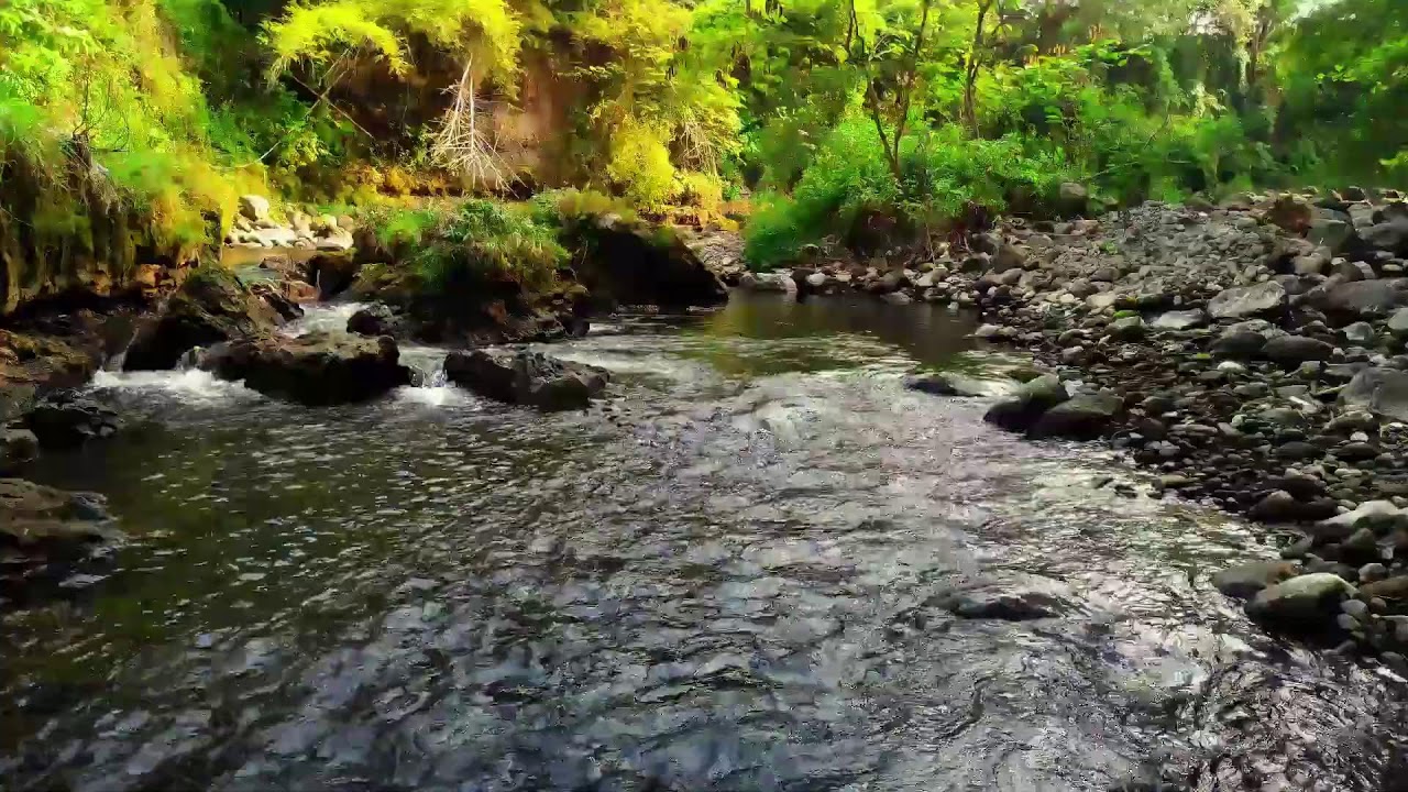 River Flow Emotional Healing – Deep Therapy for Stress and Peaceful Sleep