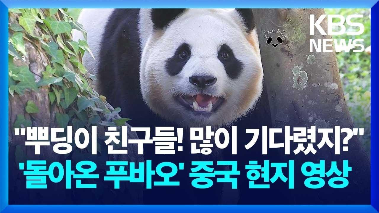 “컴백! 푸바오 얼굴 좀 보자” 넉 달 만에 공개 활동 / KBS 2025.03.25.