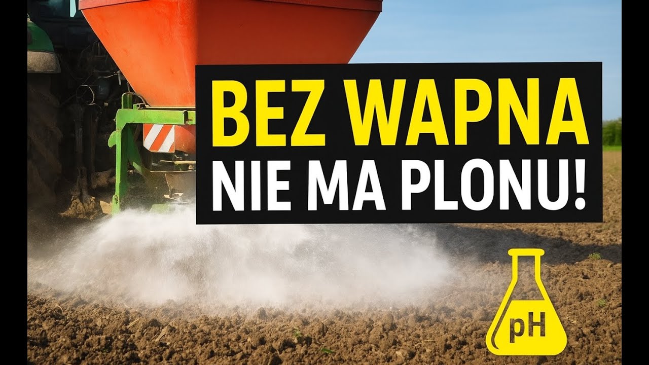 Wapno – najtańszy nawóz, który potrafi zdziałać cuda!