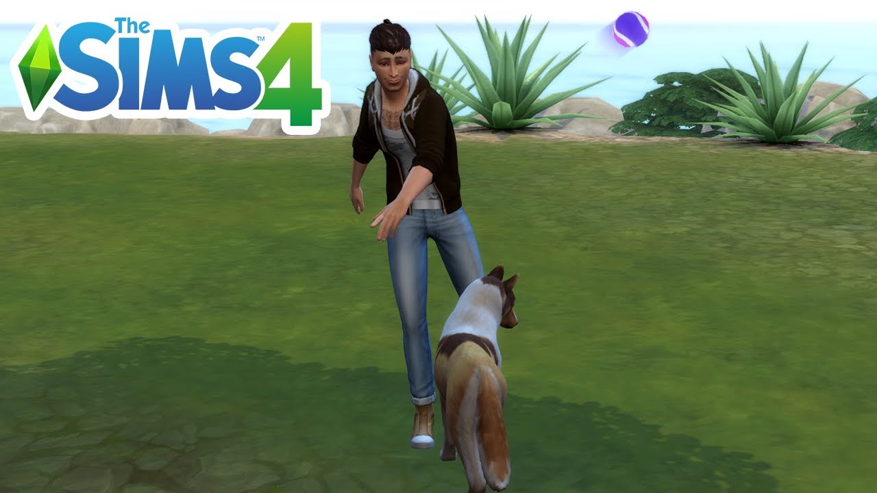 How To Play Fetch With Your Dog (Play The Ball Game) - The Sims 4