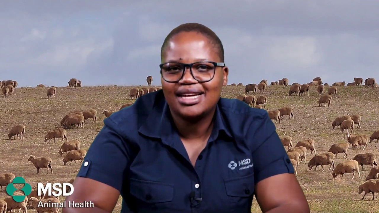 Internal Parasite Control in Ruminant Animals