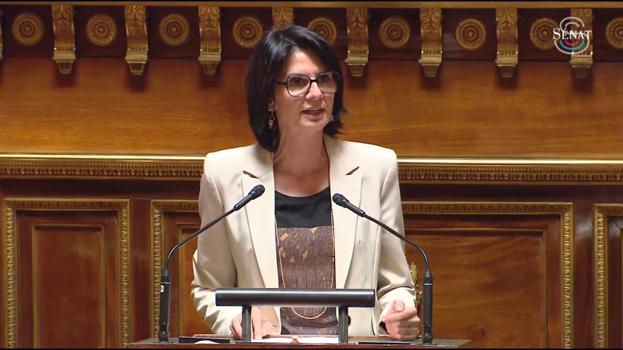 Proposition de loi sur les AESH - Intervention d’Anne Ventalon lors de la discussion générale