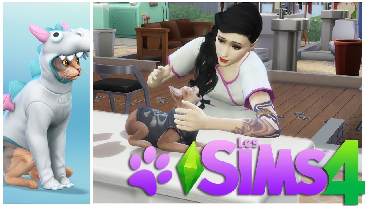 Sims 4 chiens et chats - Ouverture du cabinet vétérinaire ! #2