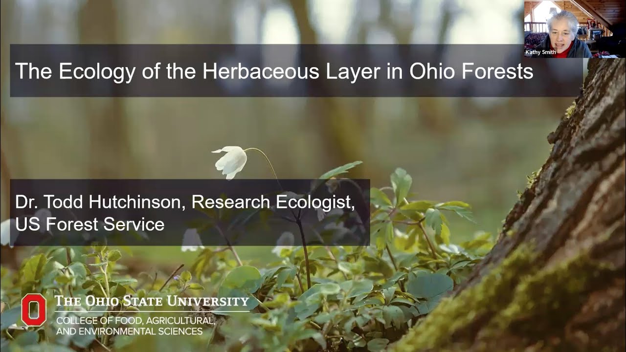 The Ecology of the Herbaceous Layer in Ohio Forests