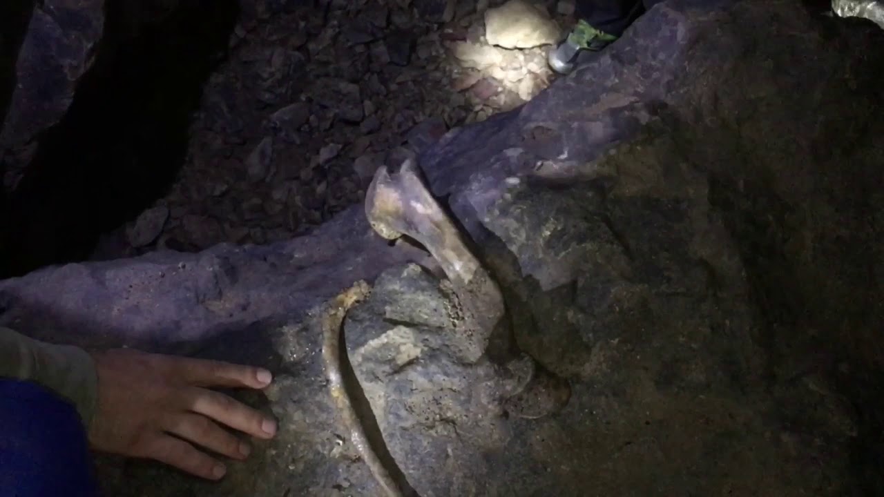İlk yerleşim mağarası ve sonrasında asarcık kalesi gezimiz