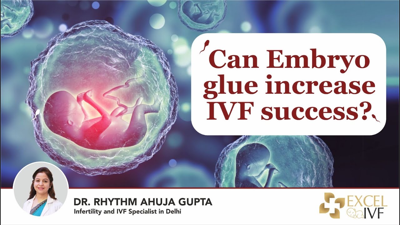 Can Embryo glue increase IVF success? Dr Rhythm Gupta - IVF Specialist in Delhi, Excel IVF