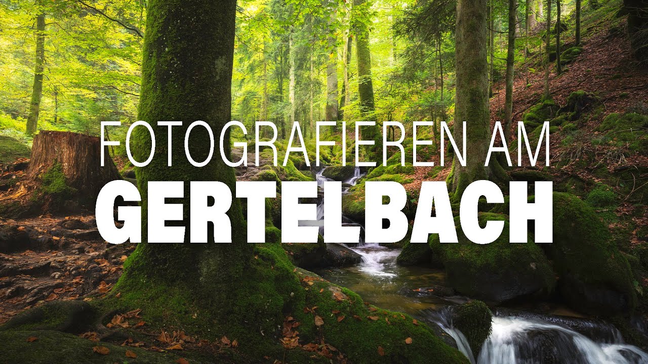 Der Schwarzwald enttäuscht einfach nie | Landschaftsfotografie