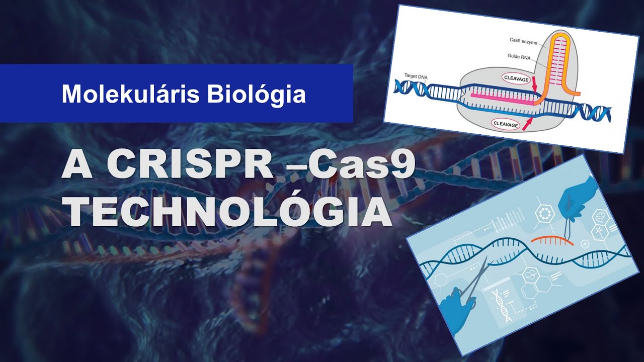 ✂️ A CRISPR-Cas9 technológia és a génmanipuláció (12 percben)