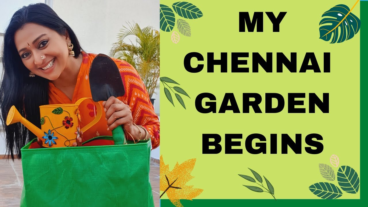 MY CHENNAI TERRACE GARDEN BEGINS | GAYATRI JAYARAM CHENNAI VEGETABLE GARDEN | START GARDENING TODAY