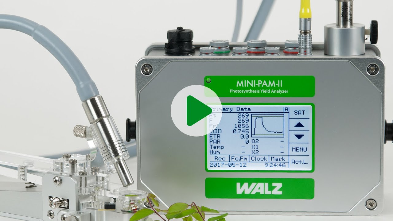 Introduction of the MINI-PAM-II Chlorophyll Fluorometer