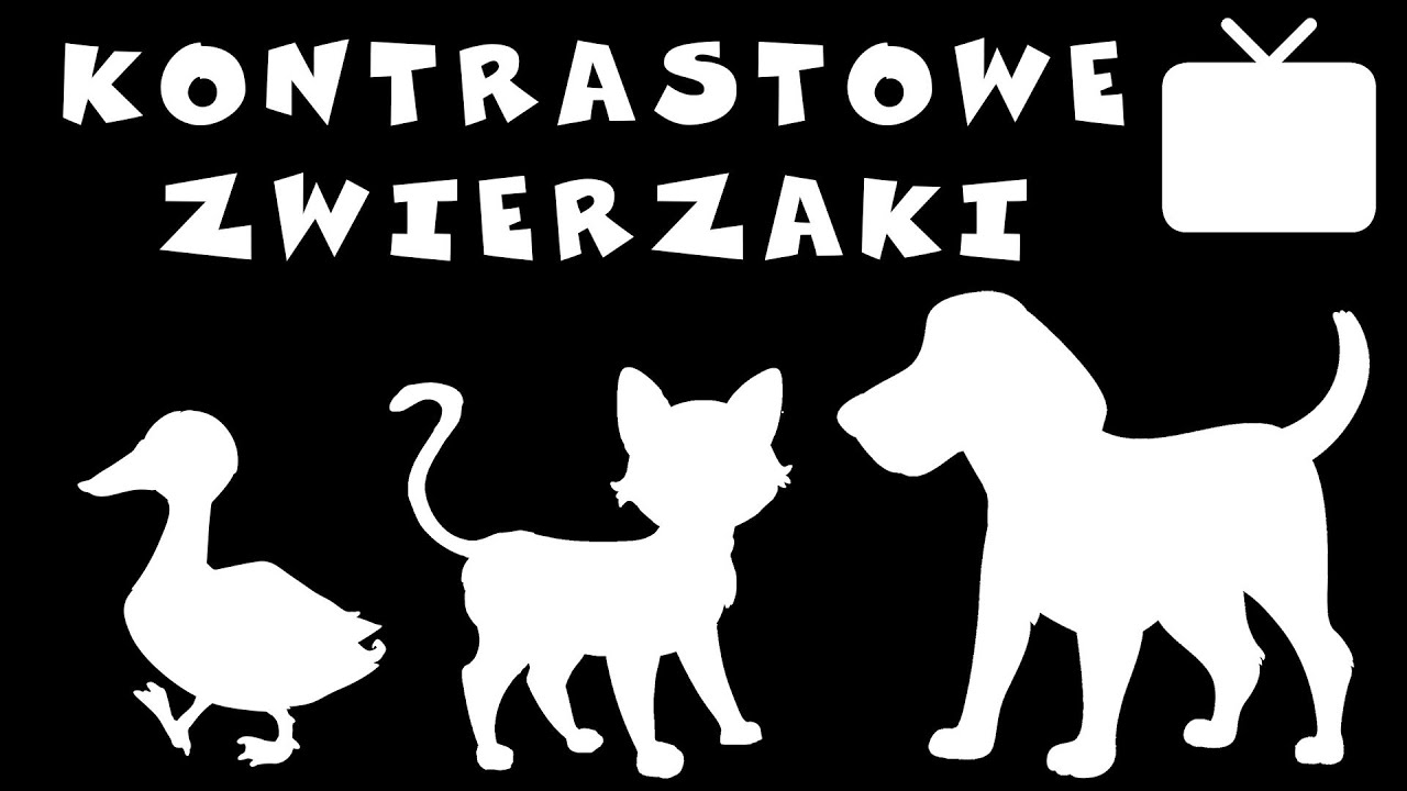Kontrastowe karty zwierzęta dla dzieci - Bajka sensoryczna - Odgłosy zwierząt dla dzieci - Kontrasty