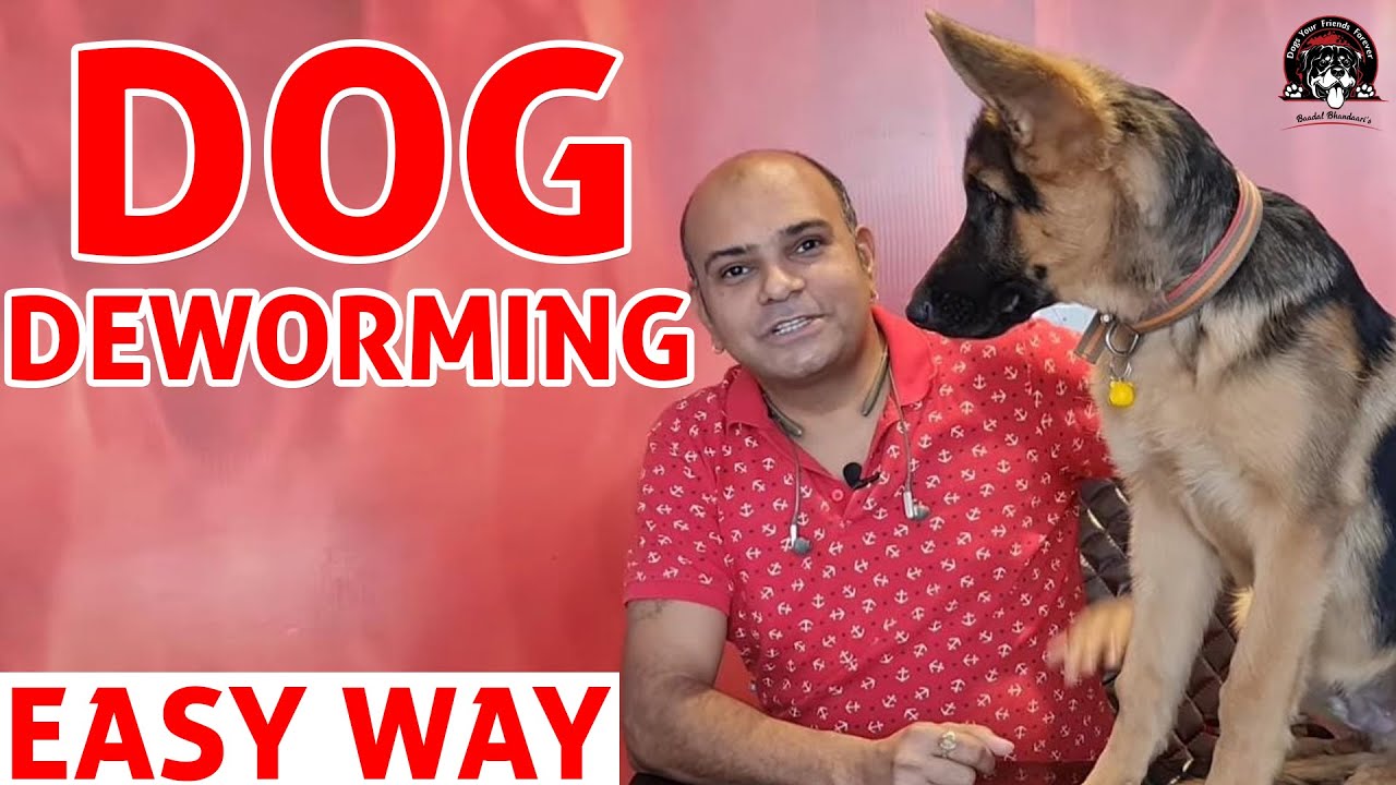 Deworming of DOG - Easy Way to Deworm your Puppy at Home || Dog Care Information || Baadal Bhandaari