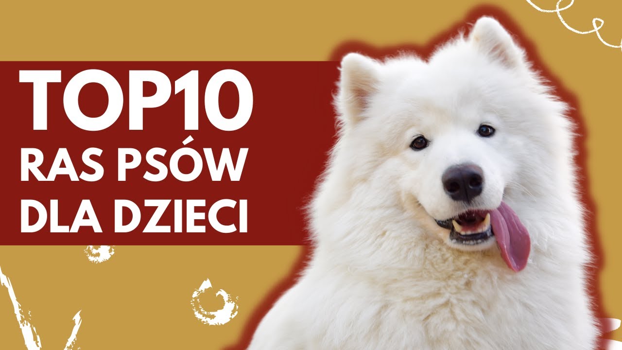 JAKI PIES dla rodziny Z DZIEĆMI?
