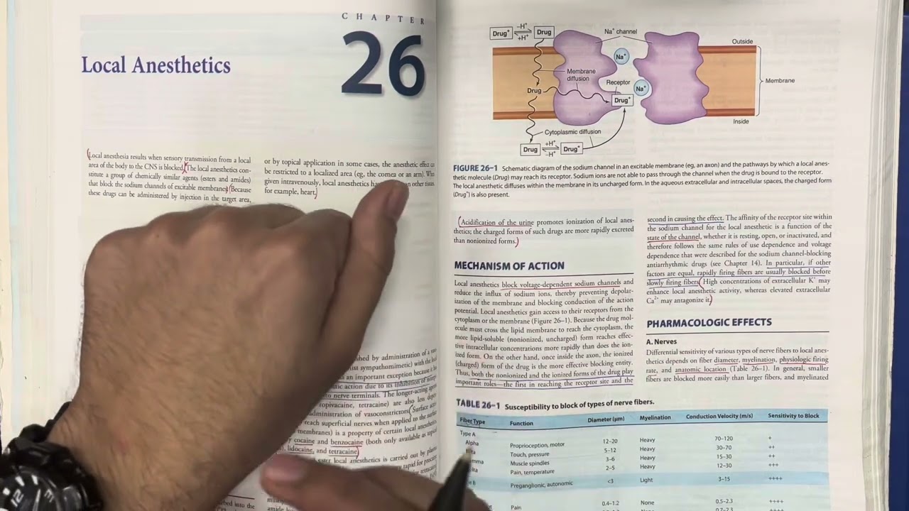 Local anesthetics | Katzung chap 26 part 1/2