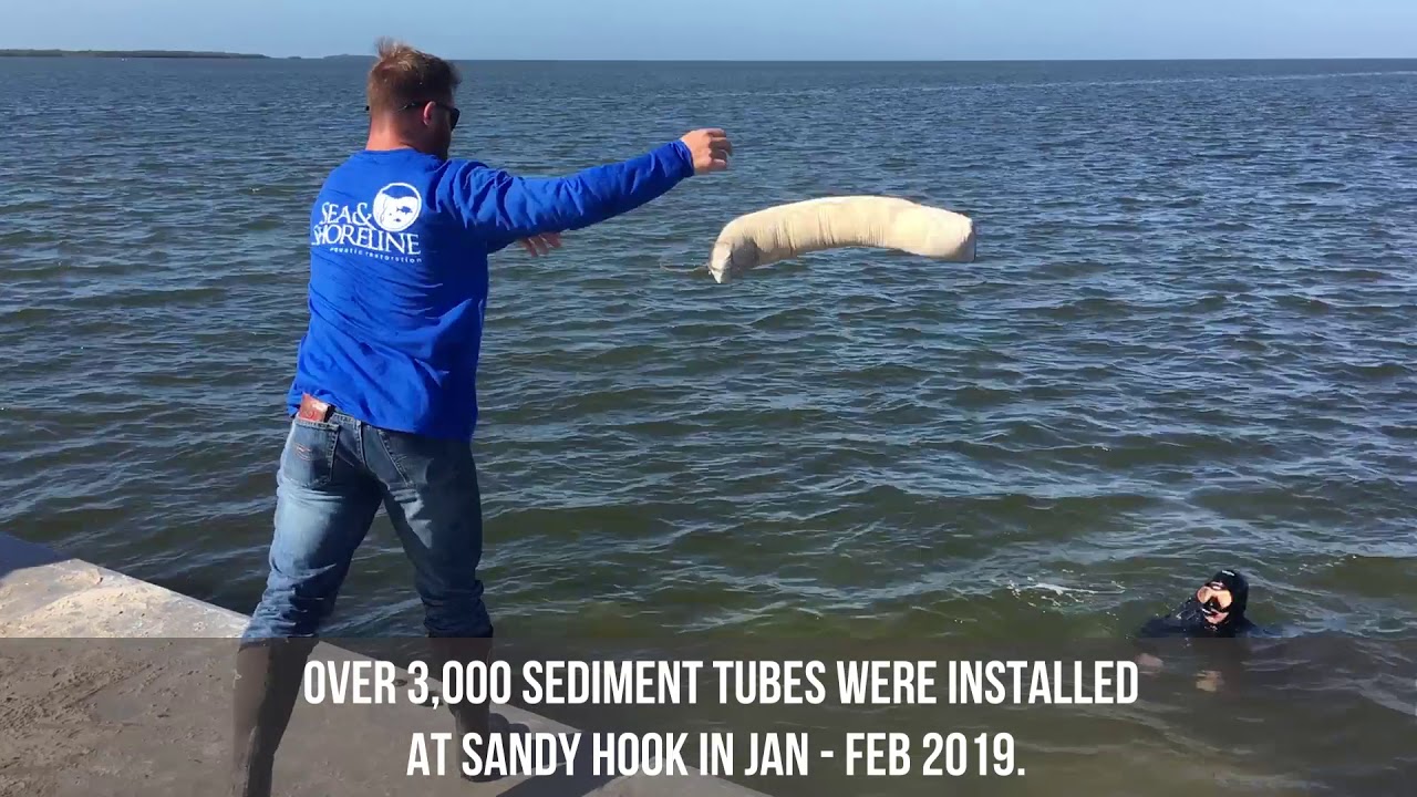 Seagrass Scarring Restoration in the Nature Coast