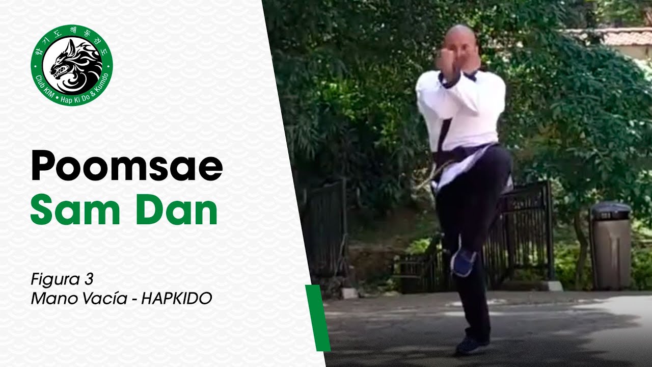 🤛🏻 Poomsae Sam Dan | Figura 3 | Hapkido | Artes Marciales