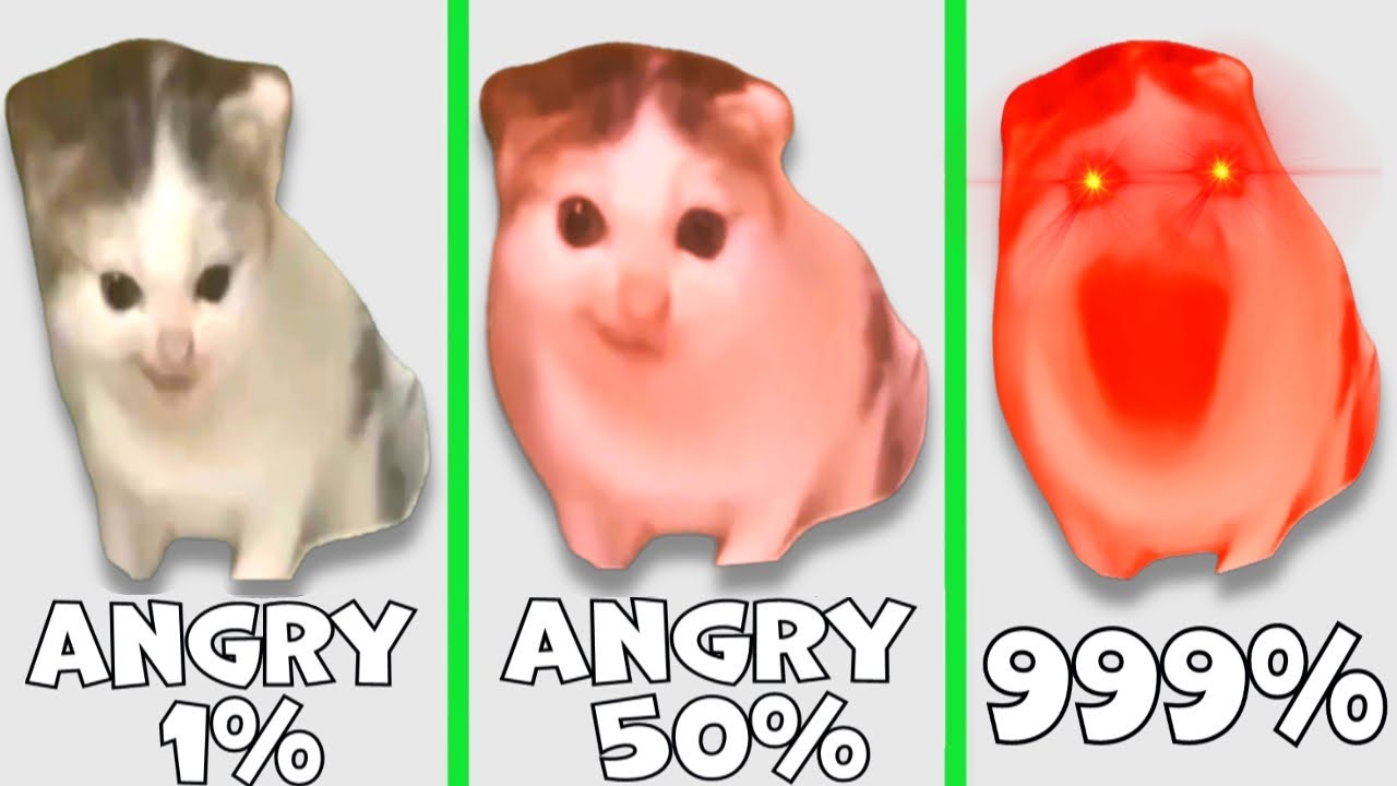 German Cat Everytime with more angry