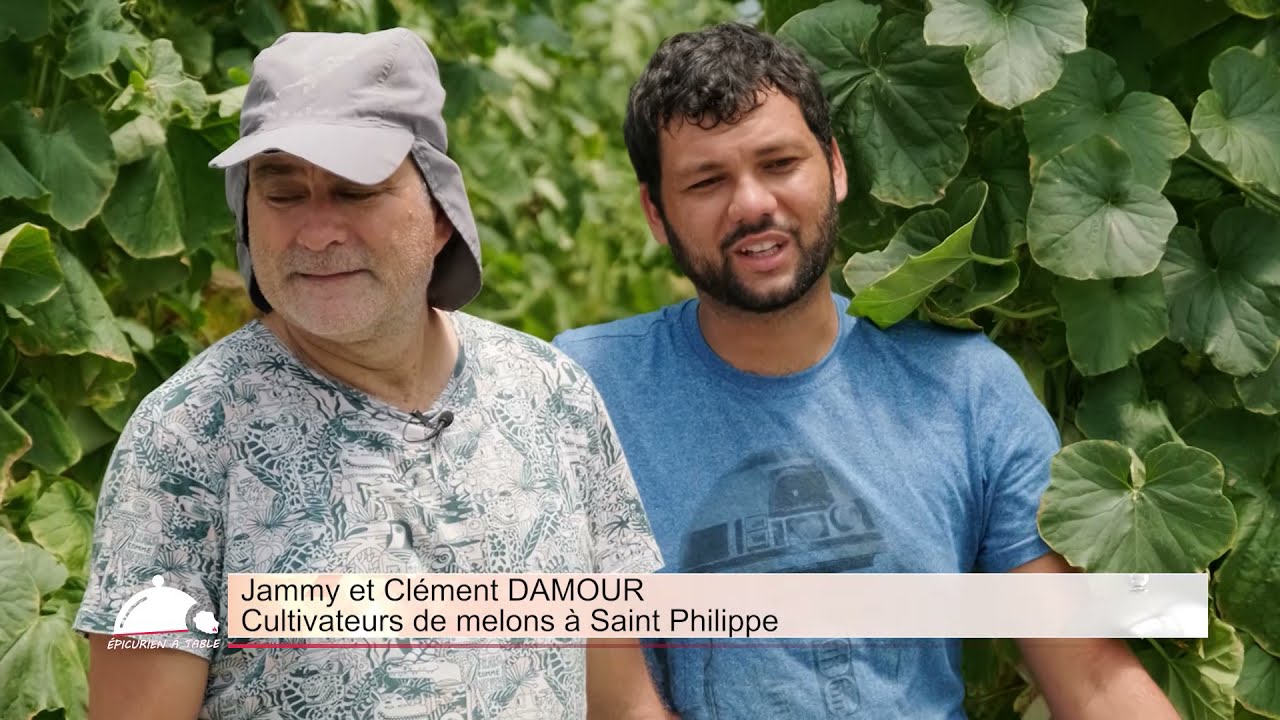 Vien gouté le melon Saint-Philippe - Épicurien à table (épisode 21)