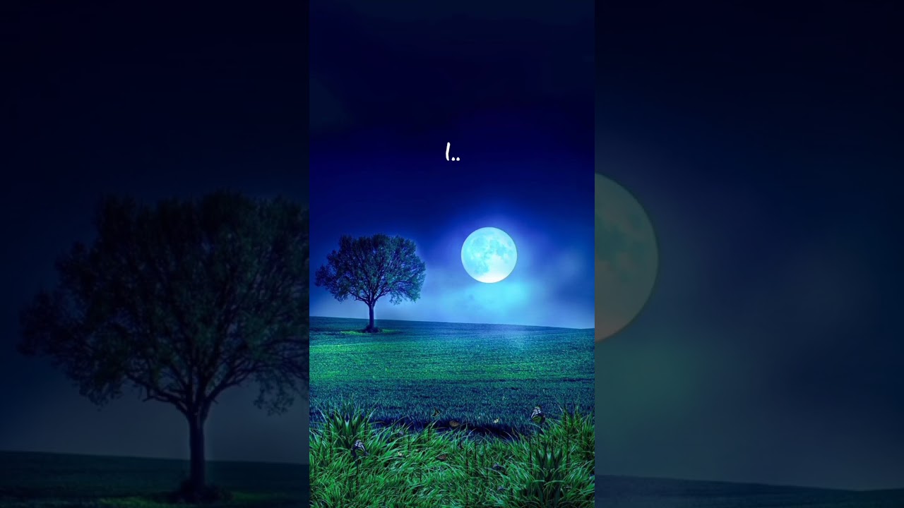 suasana malam #nature #aeshstic #alam #nyaman #tenang #indah