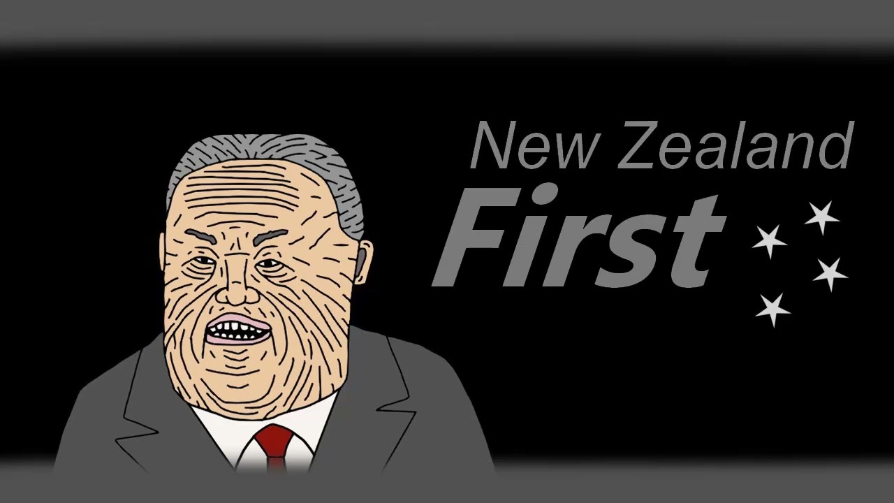 The Best New Zealand First Policies