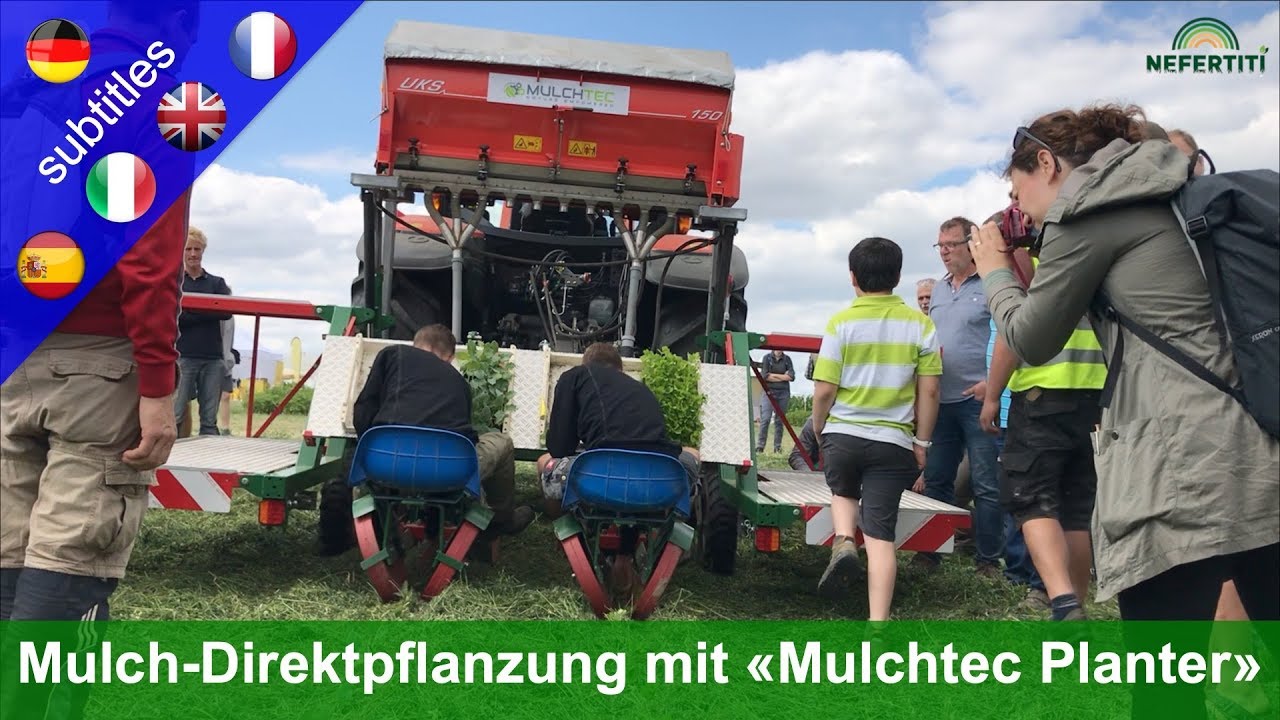 Gemüsesetzlinge maschinell in Mulchschicht pflanzen mit dem Mulchtec Planter (Johannes Storch)
